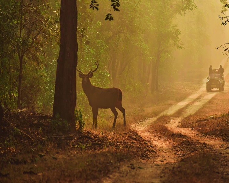 project-slider-image